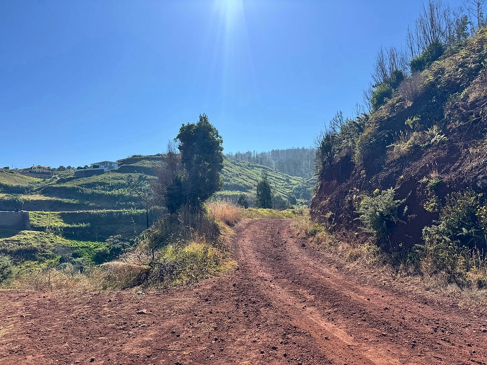 Levada Nova da Calheta -ו Pico Vermelho (מדיירה)