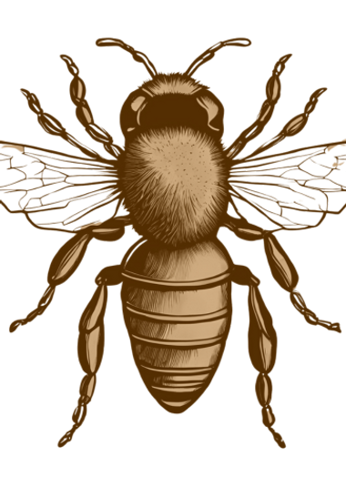 Bee.png
