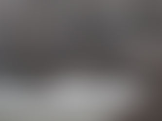 雪が降ってきました