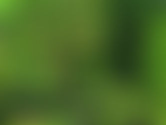 今日は秋分の日です