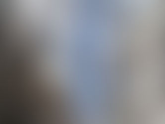 田中八重洲画廊個展やってます