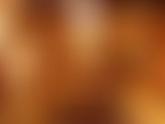 豊川展始まりました