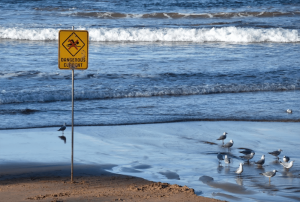 What is personal professional development?