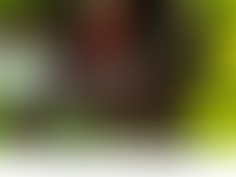 D.I.G. into a New Business Year