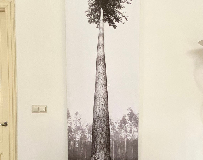 Single pine | Olfactory tapestry (2021)