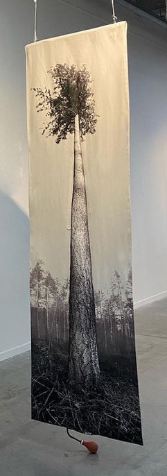 Single pine | Claudia de Vos _ 0,71 x 2.54