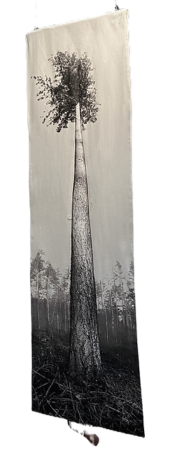 Single pine 1 vrijhangend 2 zijdig _ Cla