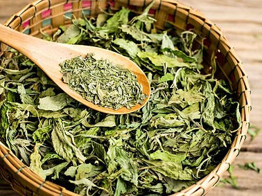 Dried-Stevia-leaves
