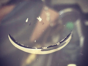 my car. connection. dope ass communication.