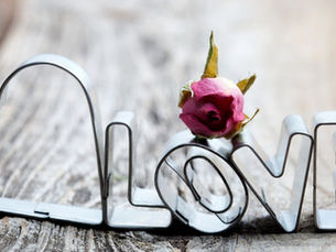 on not needing love, but I am ready again.