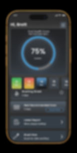 Lumabrush_Phone_app_mockupblk_edited_edited.jpg