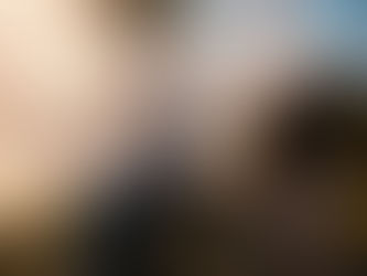 Portret de nuntă realizat prin voalul miresei, cu lumină de apus și atmosferă cinematografică.