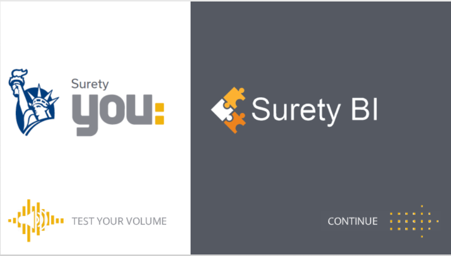 Liberty Mutual Surety