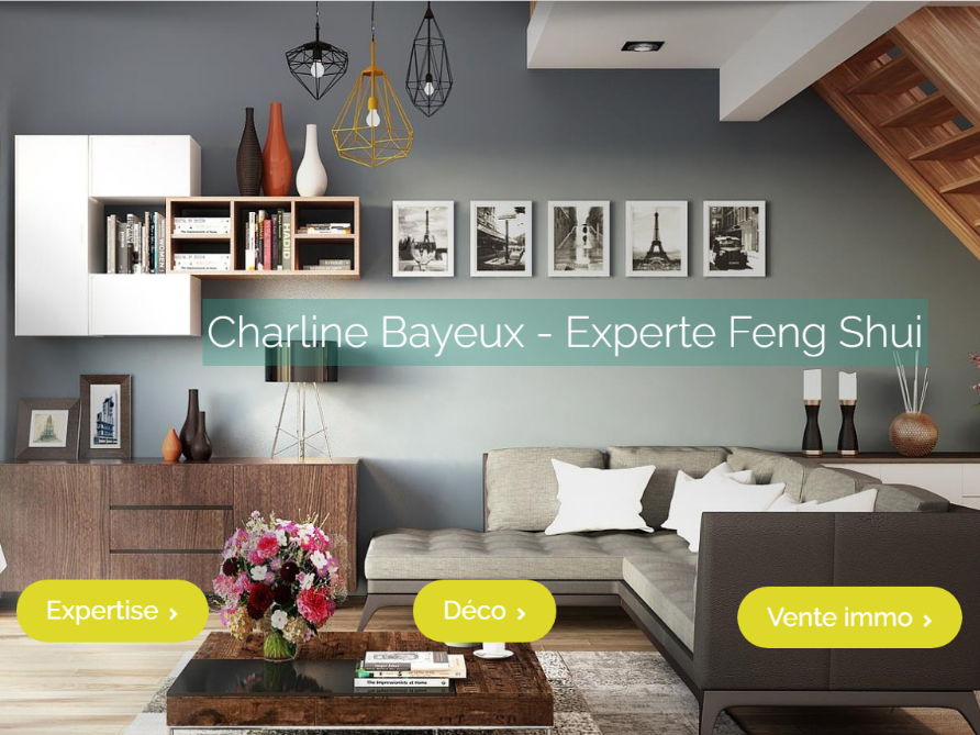 http://expertsfengshui.fr/