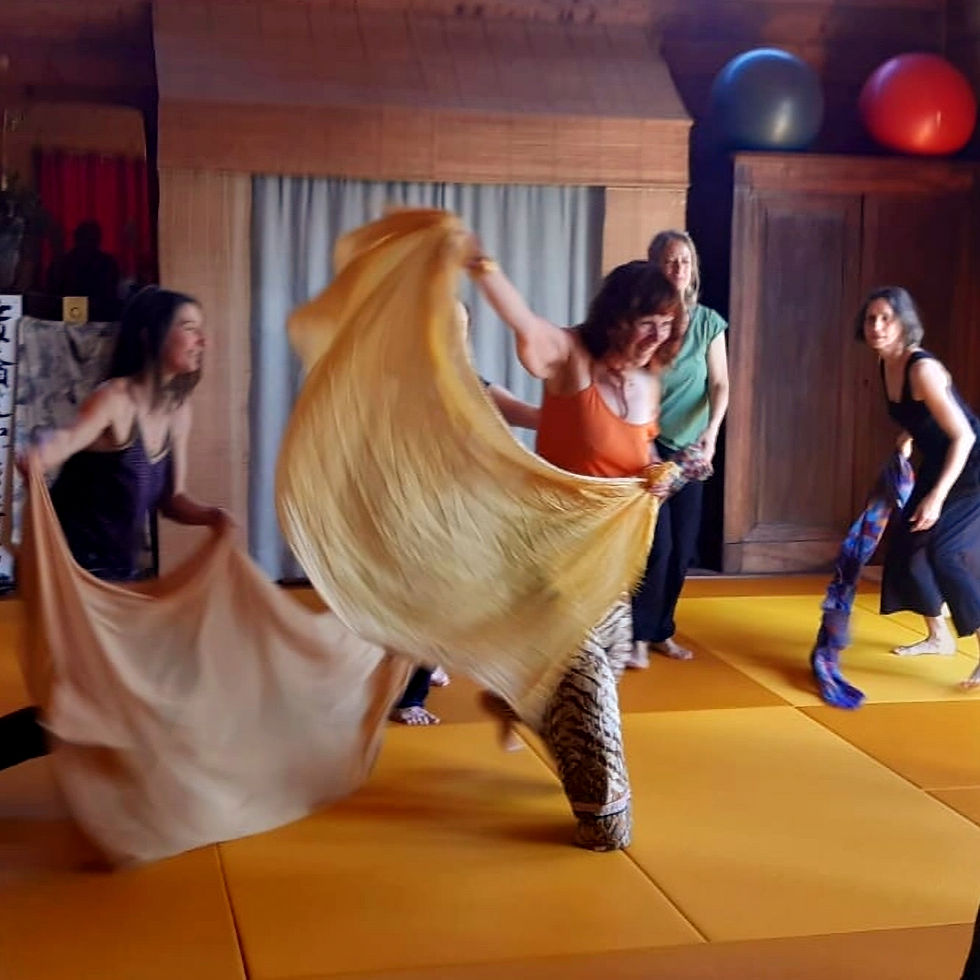 Groupe de femmes dansant avec des tissus colorés en dojo, Danse des 9 Souffles®.