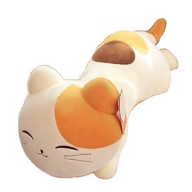 10th cat.jpg