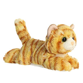 1st cat.jpg