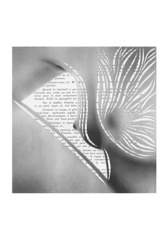 Collage analogique digitalisé créé à la main avec patience et amour - Marie Decamp Visuals
