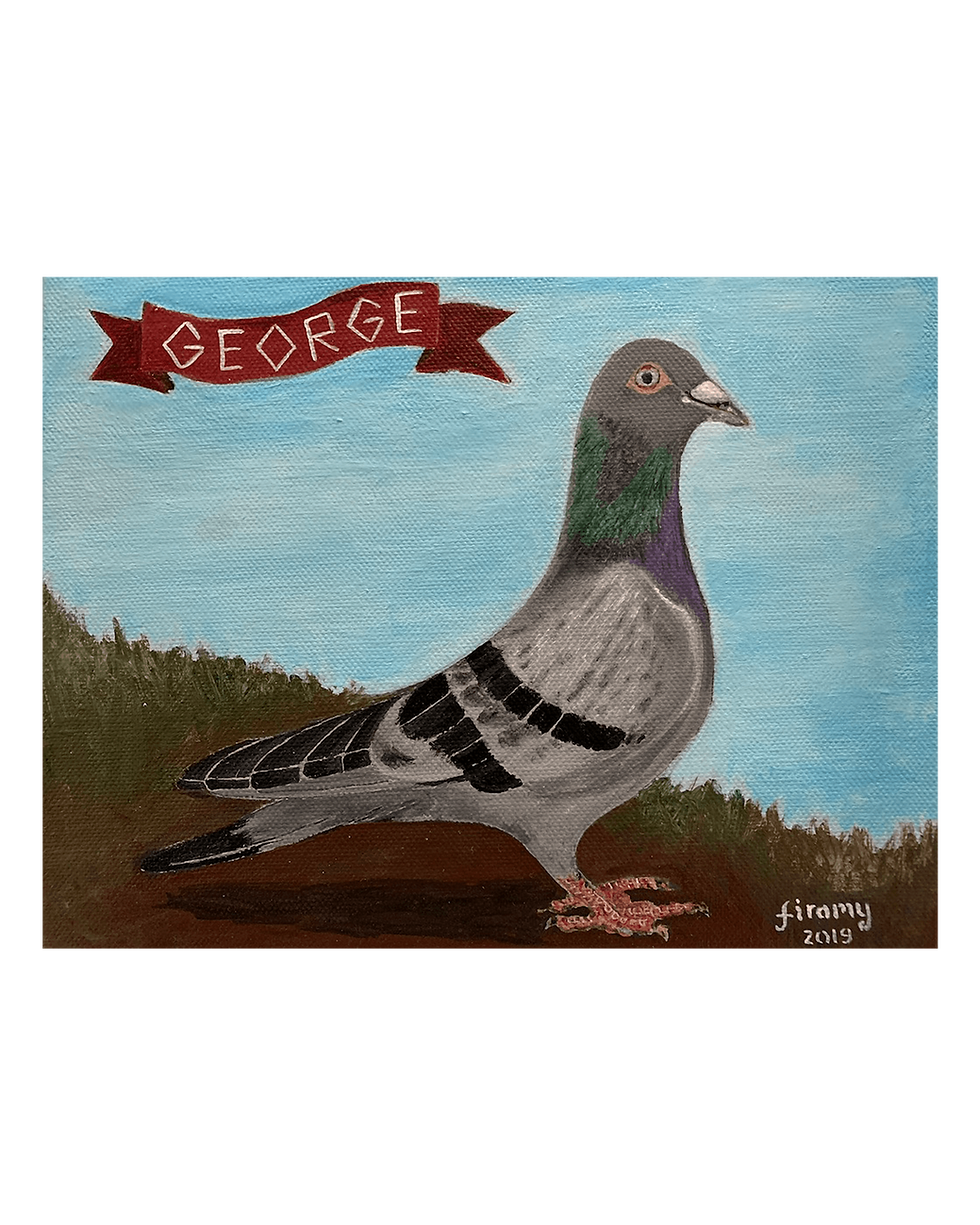 Thumbnail: Checker pigeon