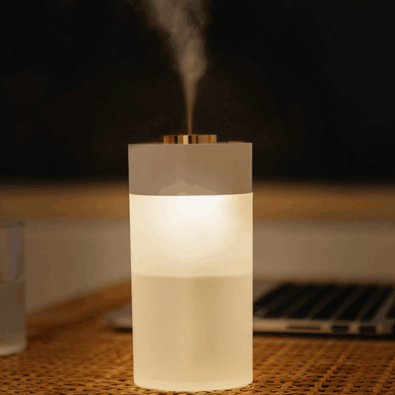 BP3S Humidifier 