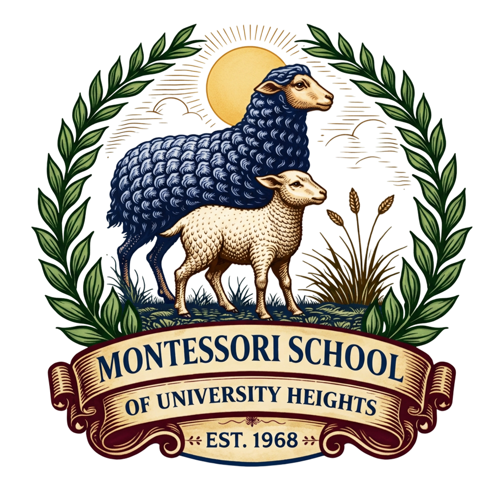logo-colorful-transparent.png
