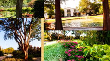 Dallas Arboretum and Botanical Gardens