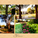 Dallas Arboretum and Botanical Gardens