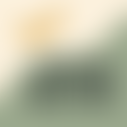 Special Voters’ Assembly Meeting