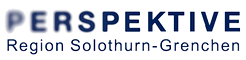 perpektive logo_edited.png