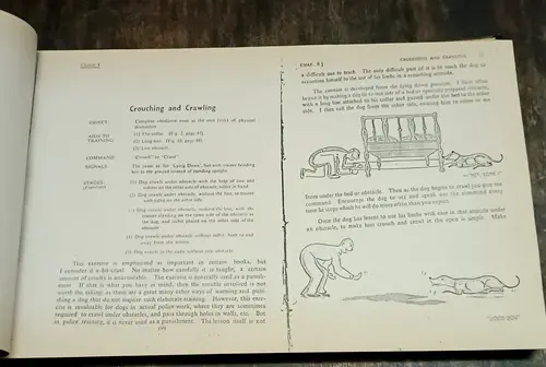 Thumbnail: RARE: TRAIN YOUR OWN DOG FOR HOUSE MANNERS OBEDIENCE ETC BY BHADRI PHOTOCOPY#