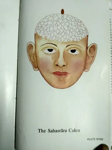 Thumbnail: 2011 INDIA PRINT: KUNDALINI YOGA BY SWAMI SIVANANDA RADHA ILLUS. HB