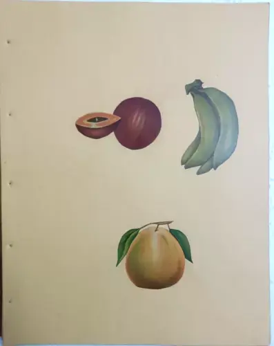 Thumbnail: INDIA VINTAGE PRINT: FRUITS PRINT CUT OUT PASTED ON SHEET SET OF 3