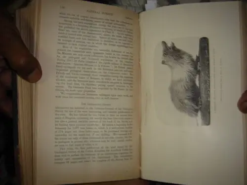 Thumbnail: INDIA - NATURAL SCIENCE A MONTHLY REVIEW OF SCIENTIFIC PROGRESS 1898 - 12