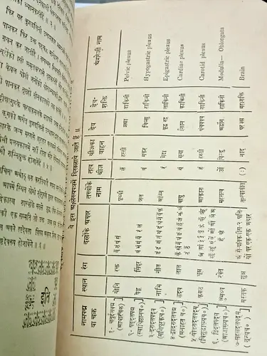 Thumbnail: INDIA 1925 BOOK CHAKRAS / KUNDALINI HINDI SANSKRIT SWAMI HANS SWAROOP ILLUSTRATE