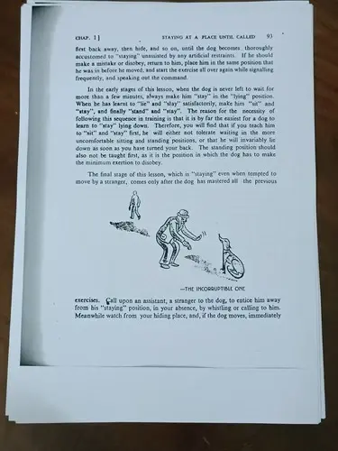 Thumbnail: TRAIN YOUR OWN DOG FOR HOUSE MANNERS OBEDIENCE ETC BY BHADRI [ PHOTOCOPY ]