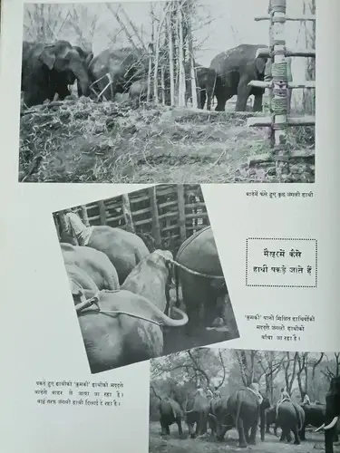Thumbnail: VINTAGE INDIA PRE INDEPENDENCE ERA MAGAZINE: SACHITRA BHARAT 8 APR 1939, HINDI