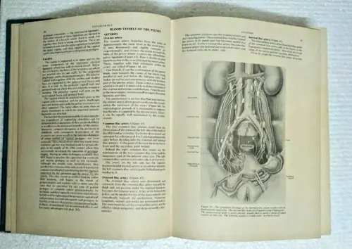 Thumbnail: RARE PRINCIPLES OF GYNAECOLOGY SIR NORMAN JEFFCOATE  BUTTERWORTHS 4TH EDI. 1975