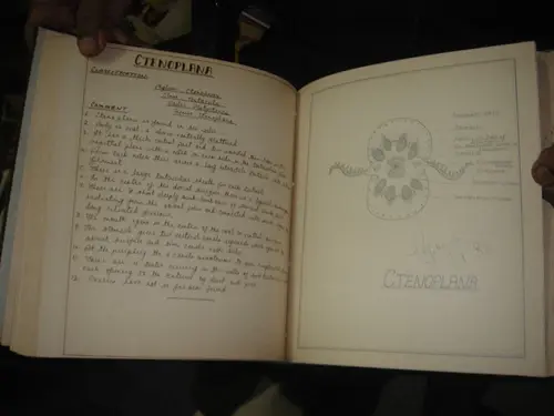 Thumbnail: HAND WRITTEN INSECT [ INVERTEBRATE ] RECORD WITH 105 DRAWINGS PAGES 210