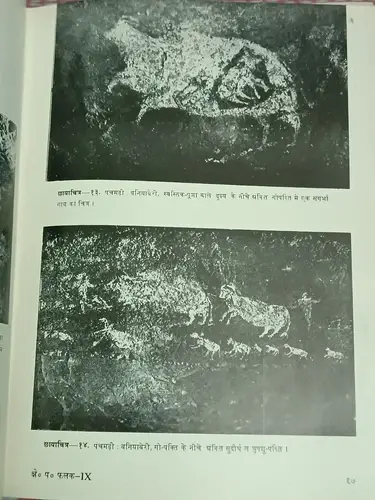 Thumbnail: INDIA VINTAGE: Pragaitihasik Chitra Kala BY DR. JAGDISH GUPTA 1967 ILLUSTRATED H