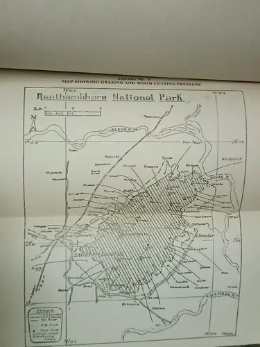 Thumbnail: INDIA TIGERS: ENQUIRY INTO MISSING TIGERS OF RANTHAMBORE NATIONAL PARK 1992 ENGL