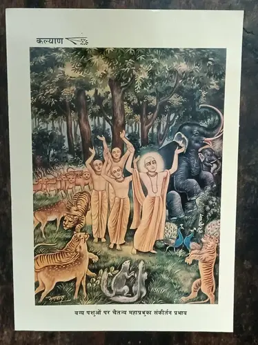 Thumbnail: INDIA RELIGIOUS VINTAGE 13 PRINTS FROM KALYAN OF LORD SHIVA, KRISHNA, CHAITANYA
