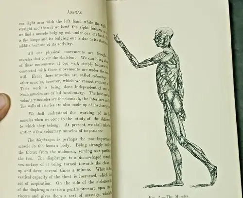 Thumbnail: INDIA YOGA: ASANAS BY SRIMAT KUVALYANANDA POPULAR YOGA VOL 1 ENGLISH 1937 ILLUST