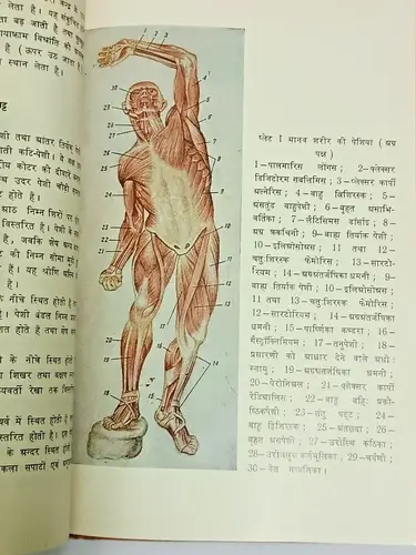 Thumbnail: RUSSIAN BOOK HINDI HUMAN PHYSIOLOGY: MANAV SHARIR AUR SHARIR KRIYA VIGYAN MIR PU