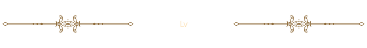 11 Lv.png