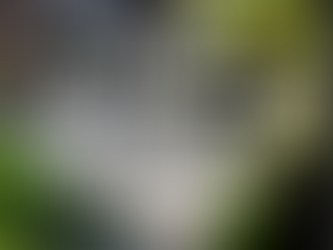 La liberté est intérieure