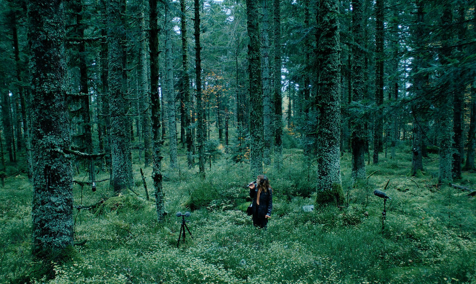 Capture d’écran 2024-11-15 à 11.21_edited