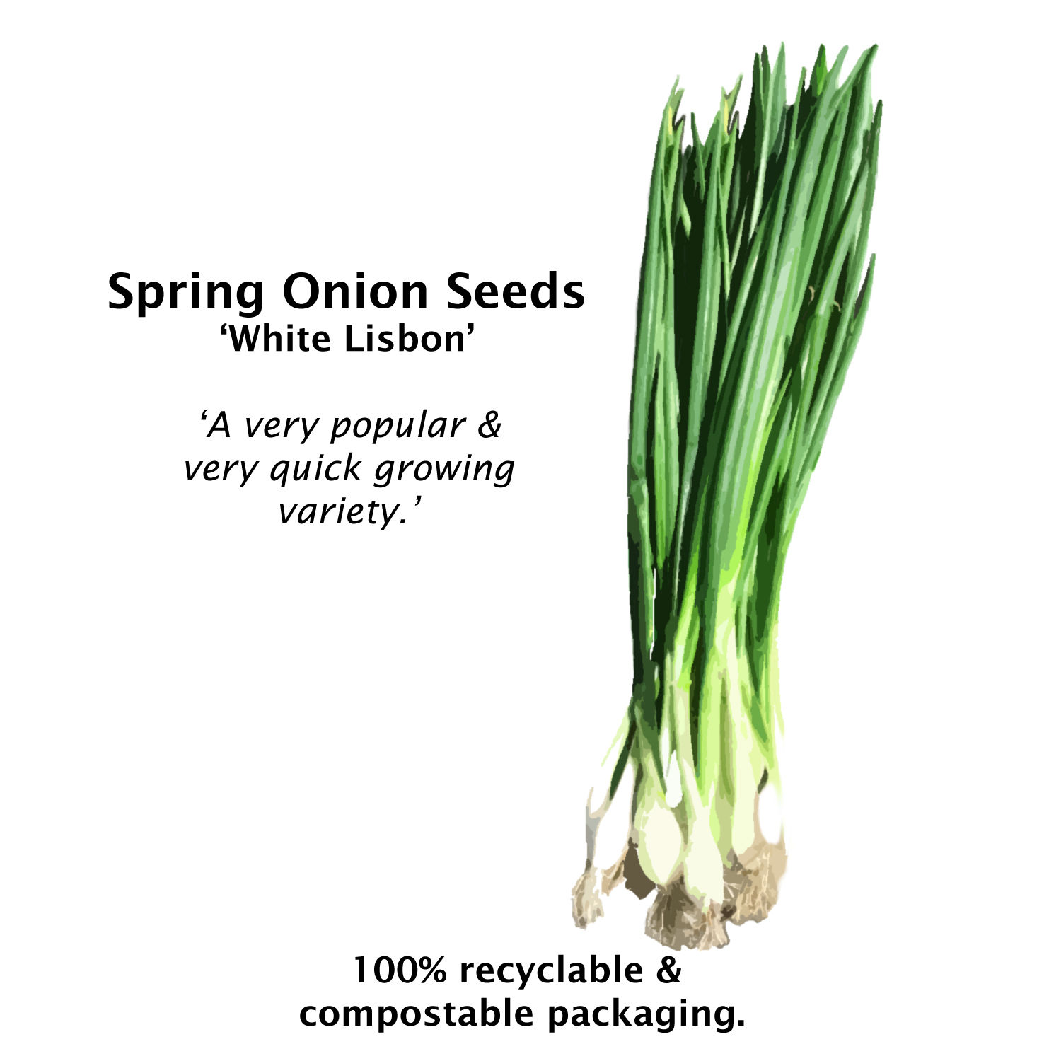 Spring Onion 'White Lisbon' ORGANIC