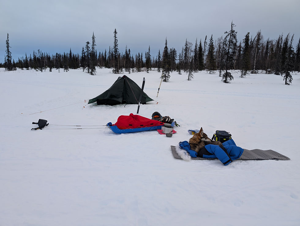 Camp