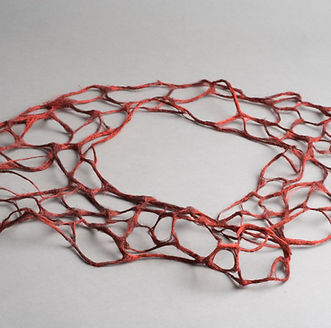 Big Red 2009 Einat Leader