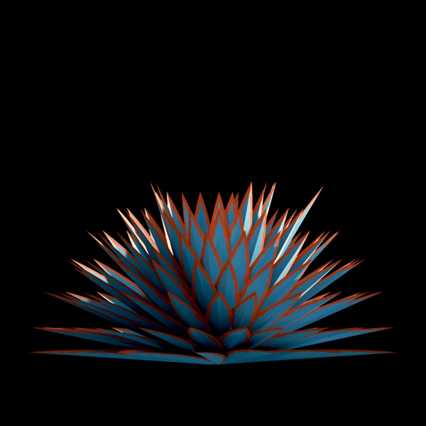 Agave_GIF_v02.gif